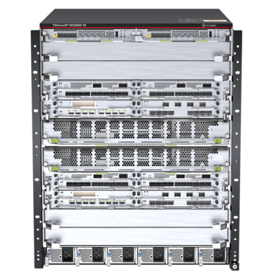 TGSmartIP SR6000E F8 多业务核心路由器